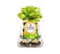 Ferrero Rocher cône de Pâques 18 bouchées 225g chocolat noisette